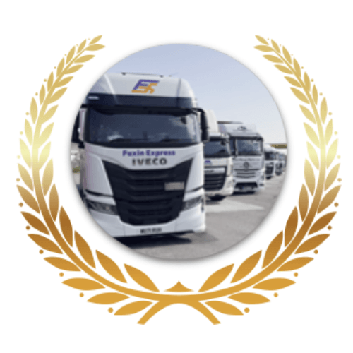European Truck Fleet License